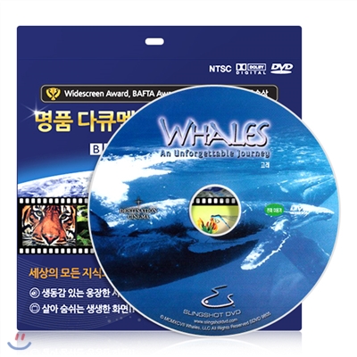 [IMAX 다큐멘터리] 고래 DVD / 초슬림케이스 / 영,한 더빙 / 영,한 자막