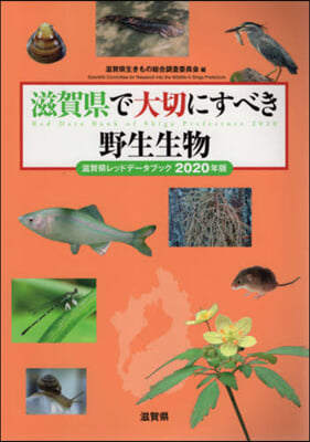 滋賀縣で大切にすべき野生生物