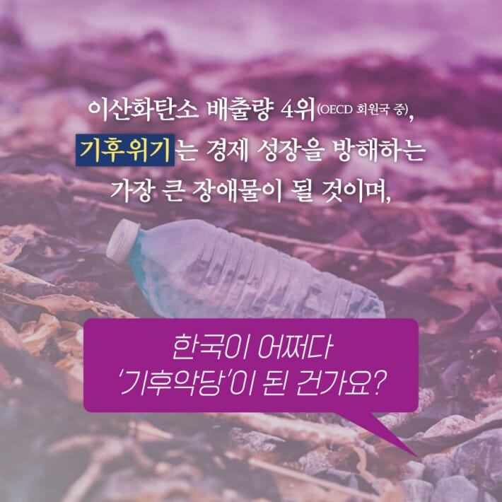 카드뉴스5