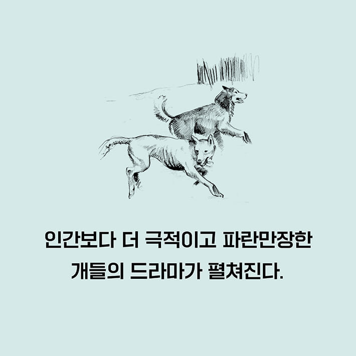 카드뉴스8