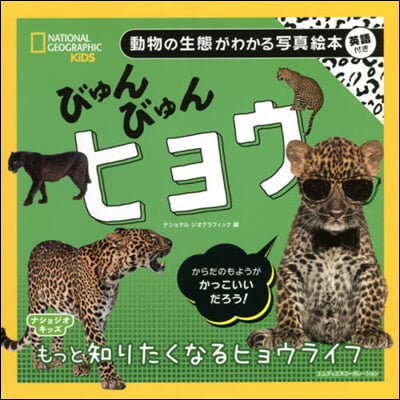 びゅんびゅんヒョウ