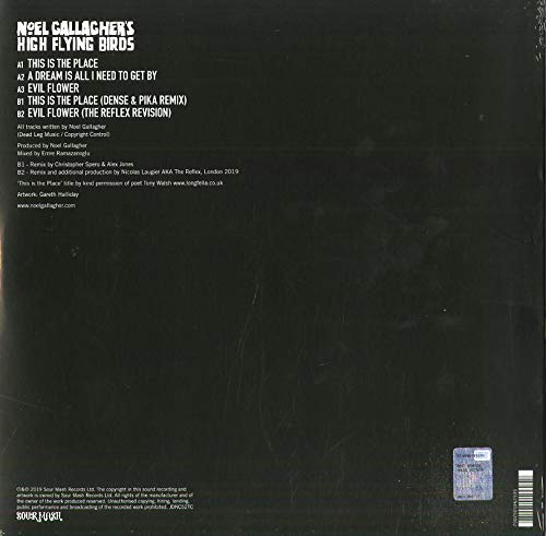 Noel Gallagher's High Flying Birds (노엘 갤러거) - This Is The Place [컬러 LP] 