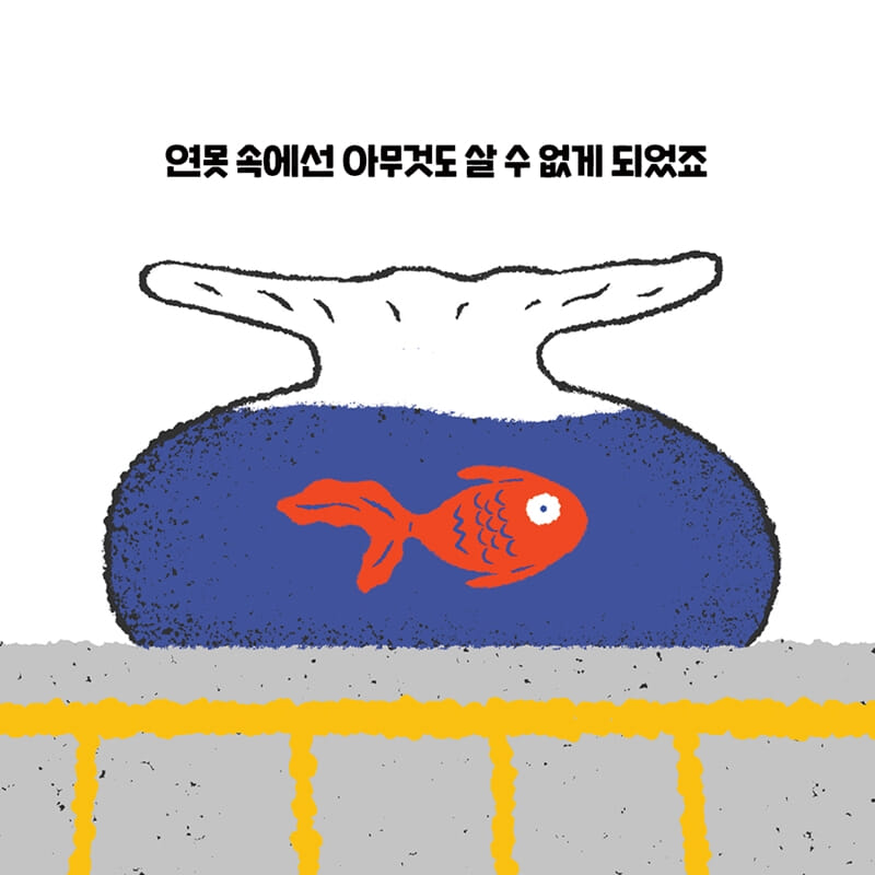 카드뉴스5
