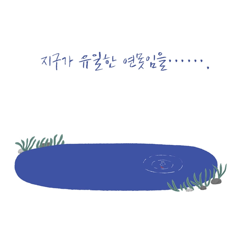 카드뉴스8