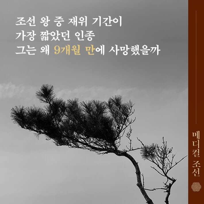 카드뉴스1
