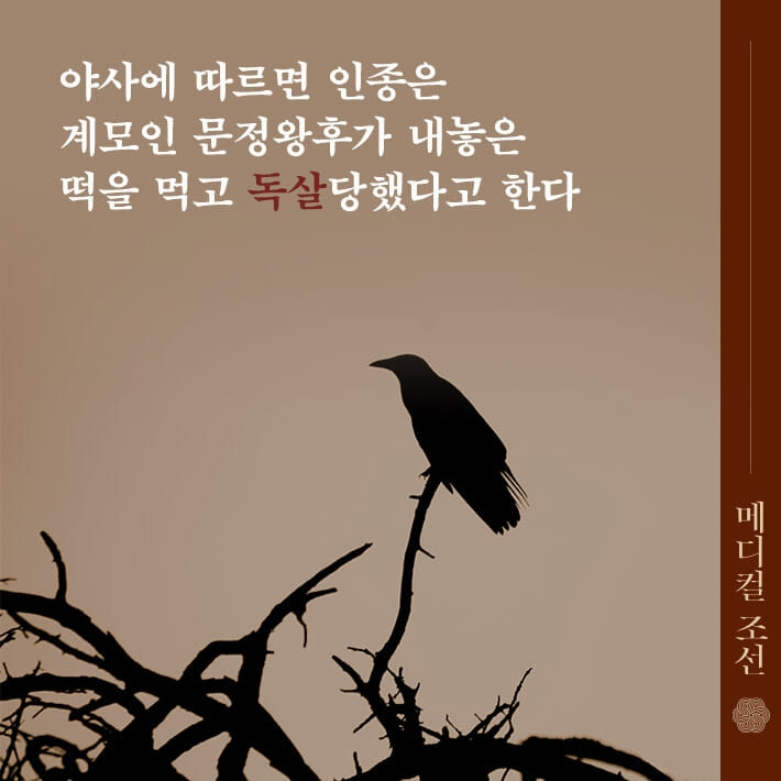 카드뉴스2