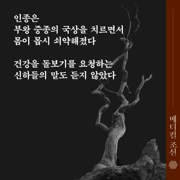 카드뉴스5