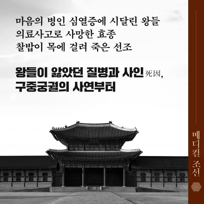 카드뉴스8