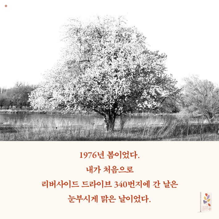 카드뉴스1