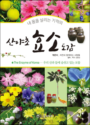 산야초 효소 도감