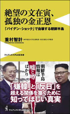 絶望の文在寅,孤獨の金正恩