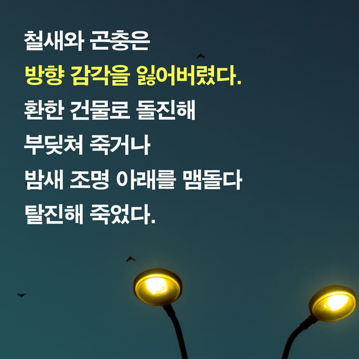 카드뉴스2
