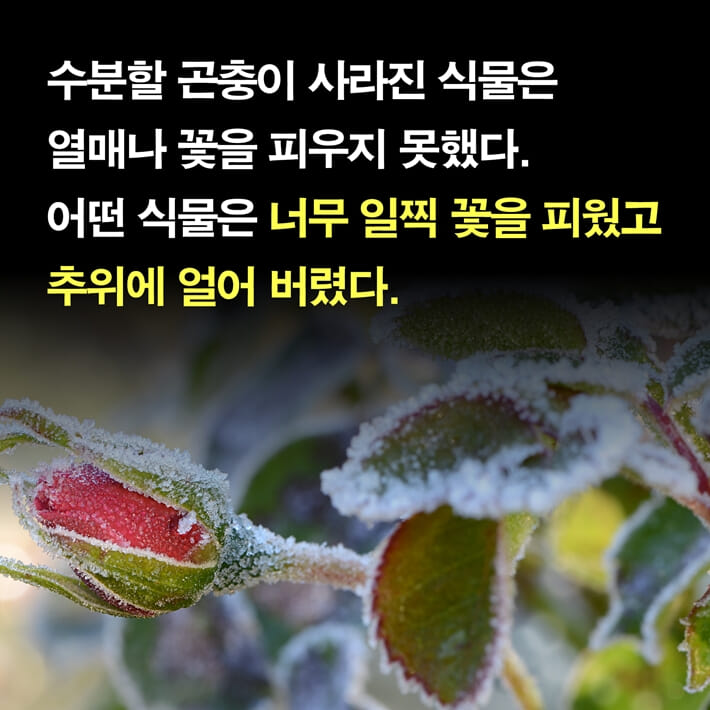 카드뉴스3