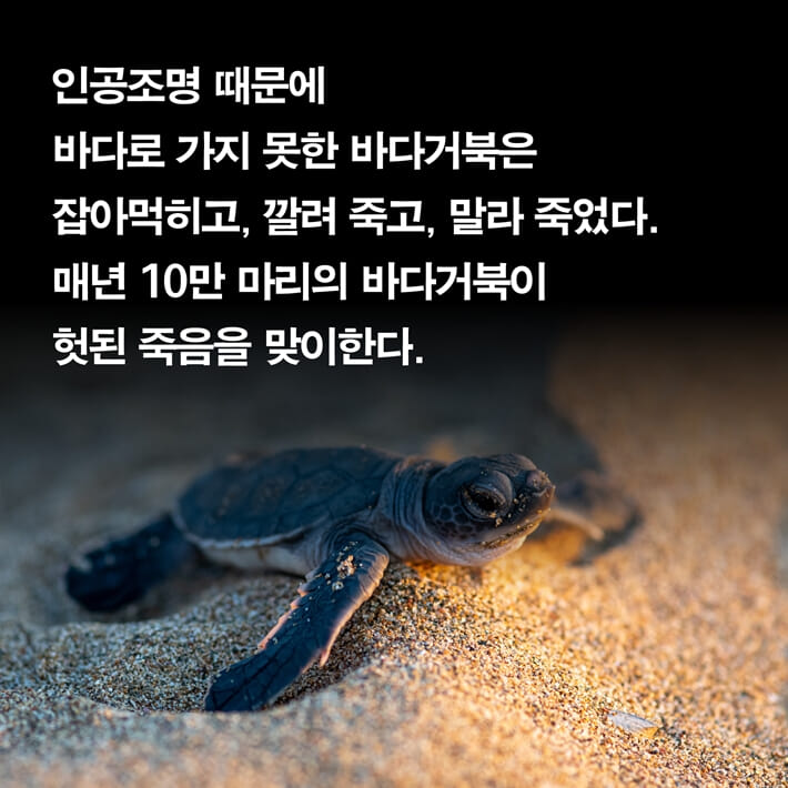 카드뉴스4