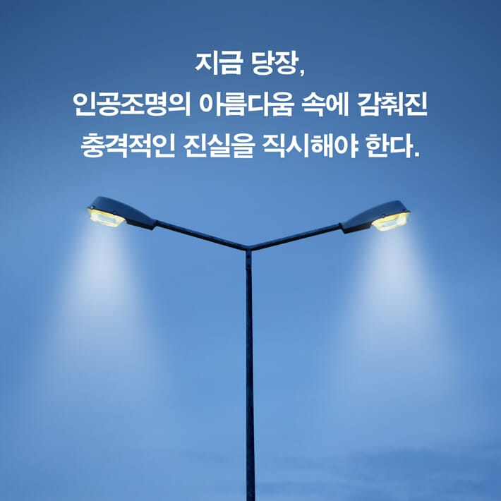 카드뉴스8