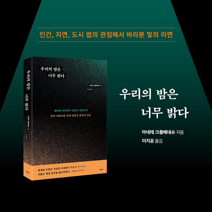 카드뉴스11