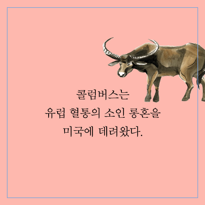 카드뉴스