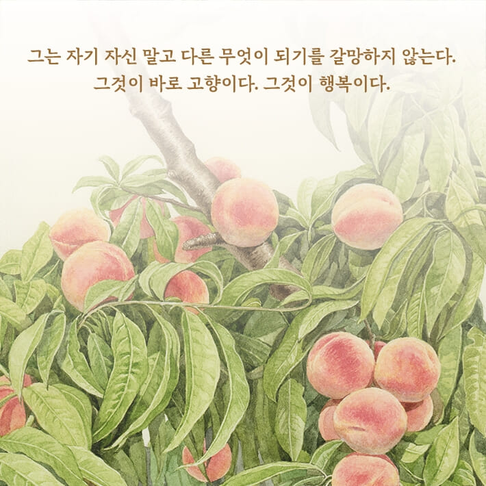 헤세더 이미지