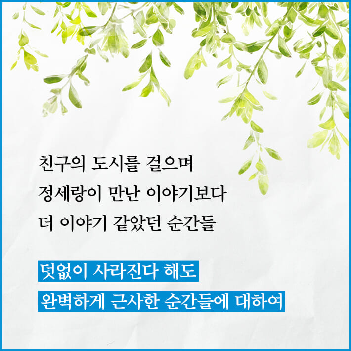 카드뉴스4