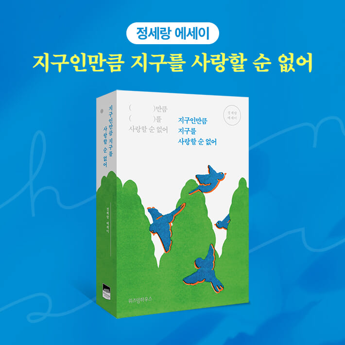 카드뉴스11