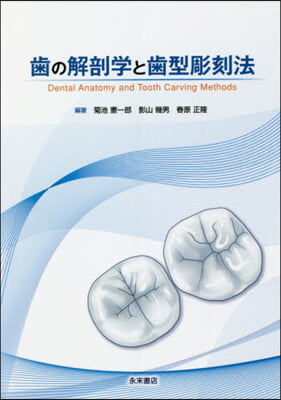 齒の解剖學と齒型彫刻法