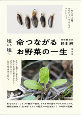 種から種へ 命つながるお野菜の一生