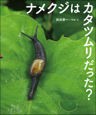 ナメクジはカタツムリだった?