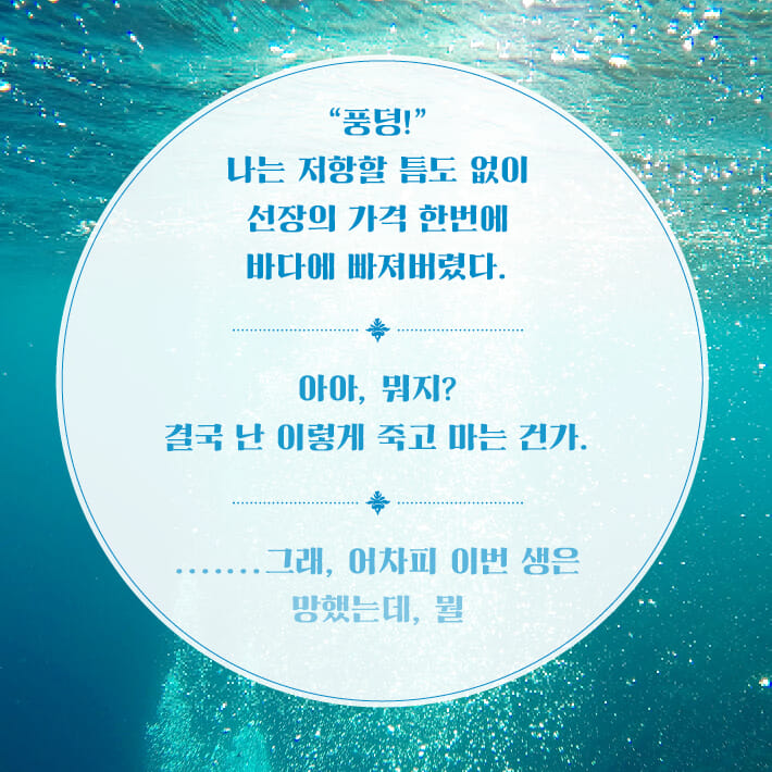 카드뉴스4