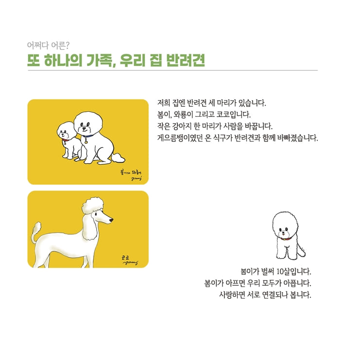 카드뉴스17