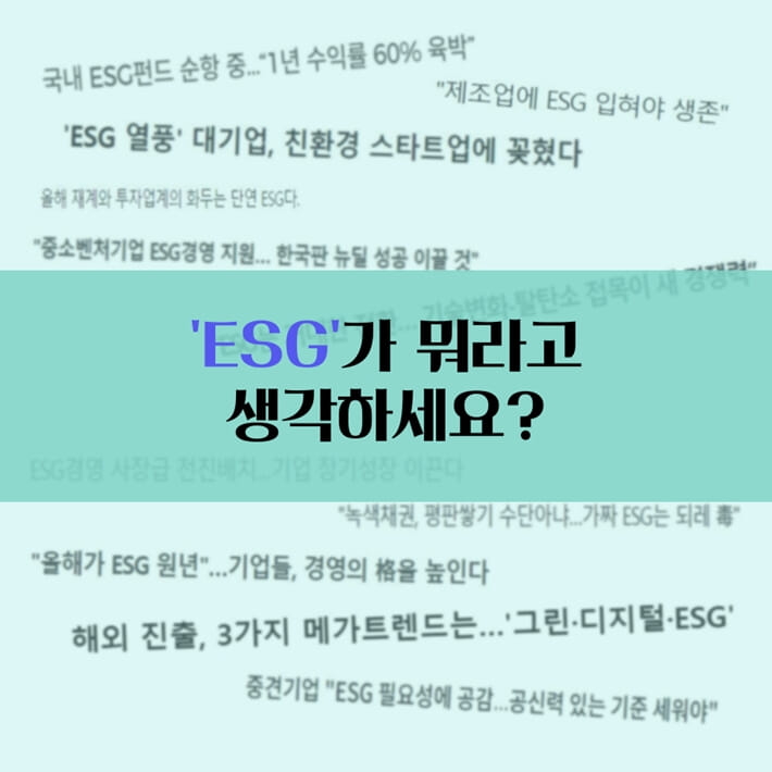 카드뉴스1