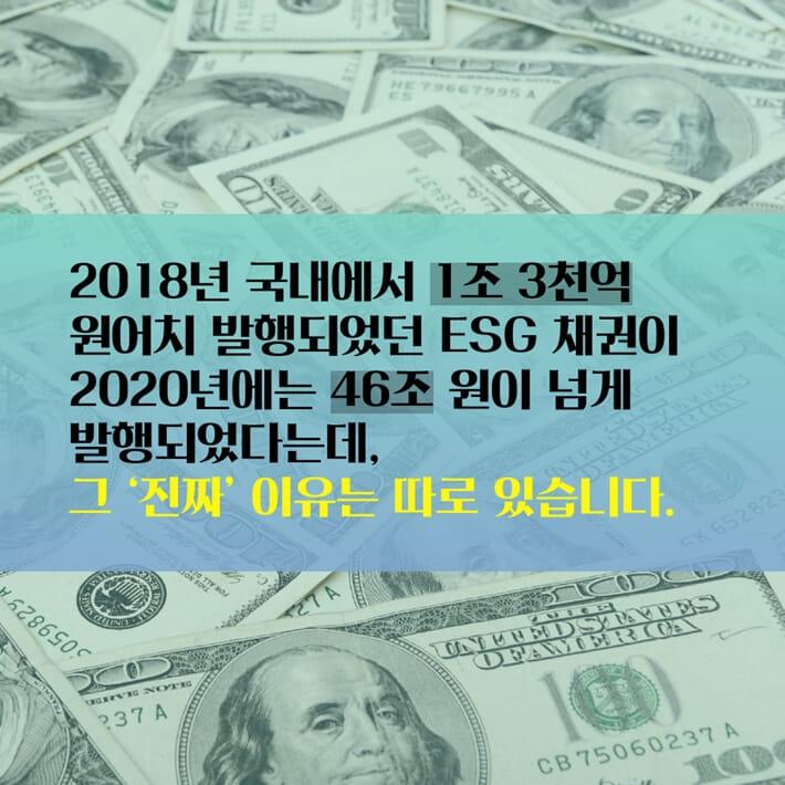 카드뉴스3