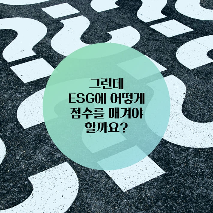 카드뉴스5