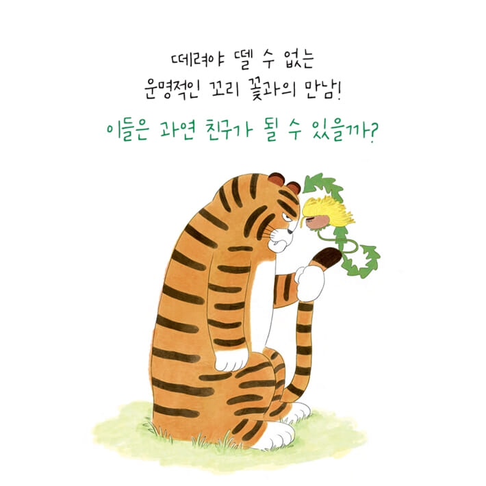 카드뉴스7