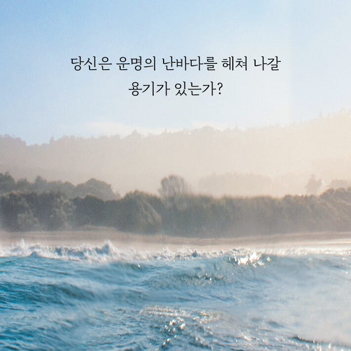 카드뉴스9