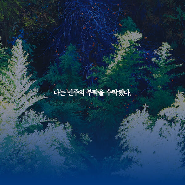 카드뉴스9