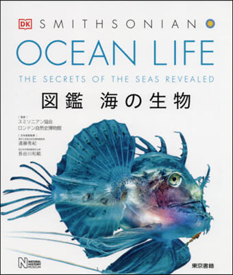OCEAN LIFE 圖鑑 海の生物