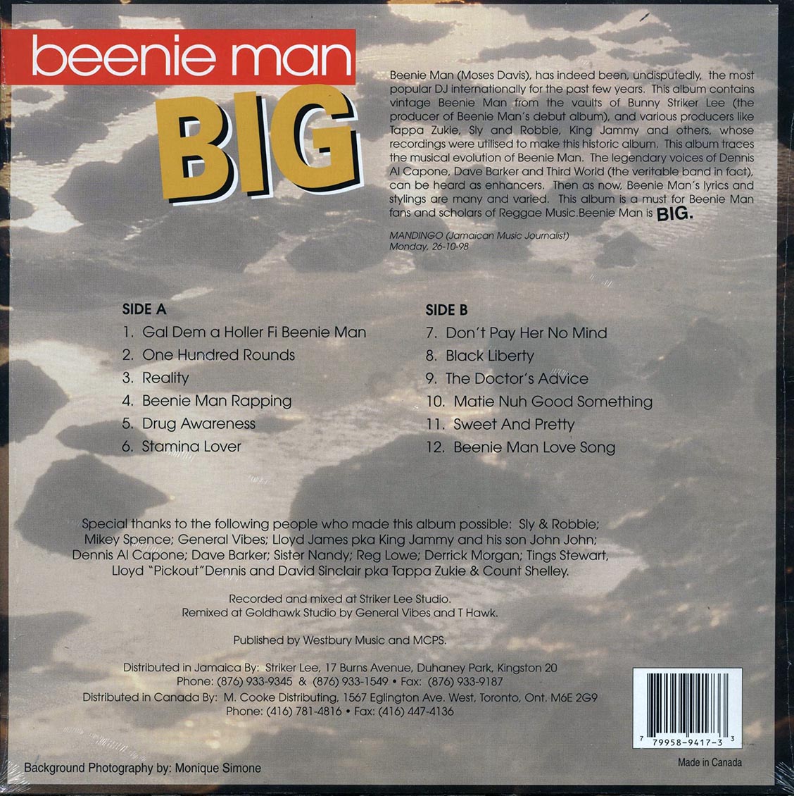 Beenie Man (비니 맨) - Big [LP] 