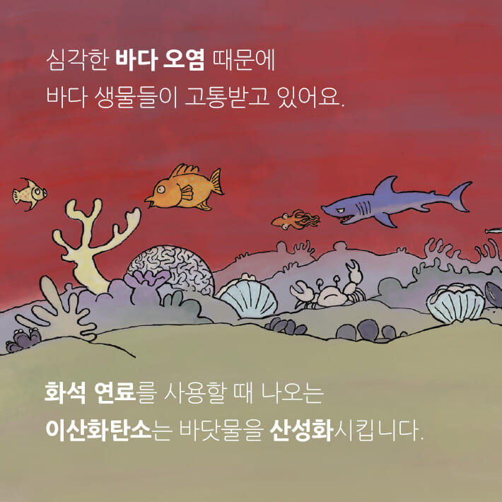 카드뉴스6