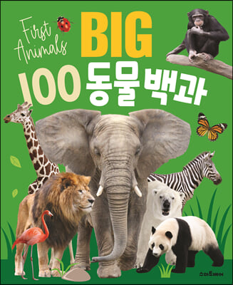 BIG 100 동물백과 (양장)