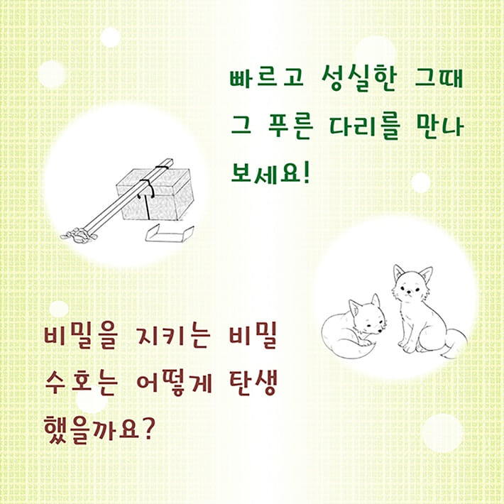 카드뉴스3