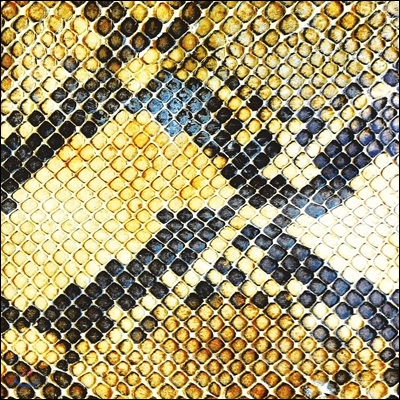 The Amazing Snakeheads - Amphetamine Ballads