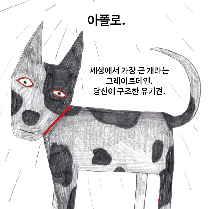 카드뉴스2