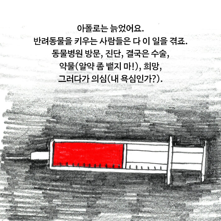 카드뉴스6