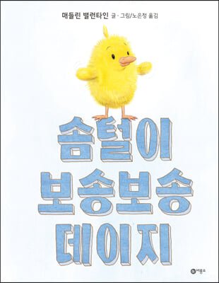 솜털이 보송보송 데이지