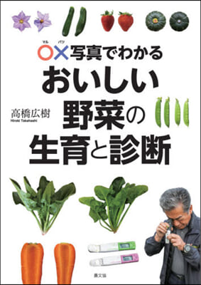 おいしい野菜の生育と診斷