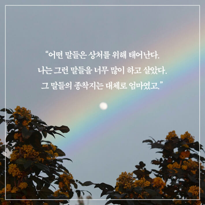 카드뉴스1