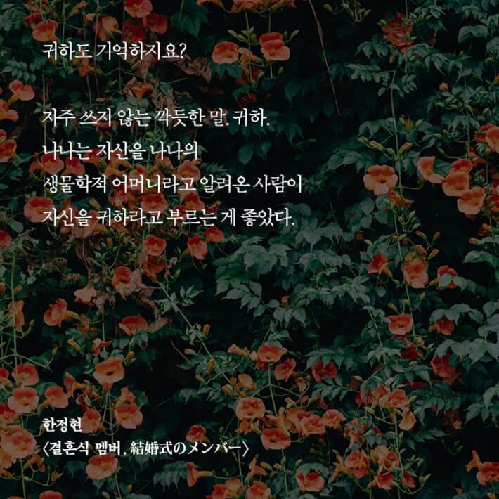 카드뉴스2