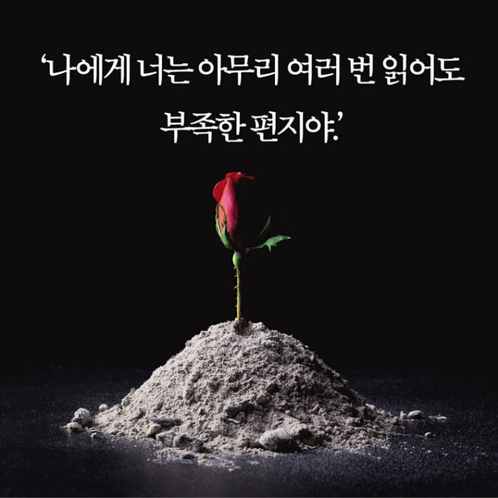 카드뉴스9