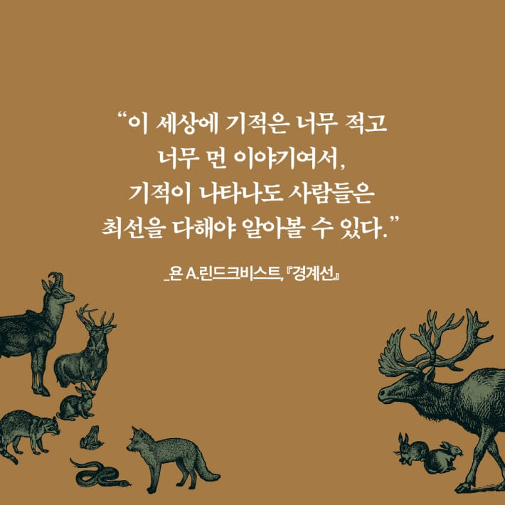 카드뉴스7