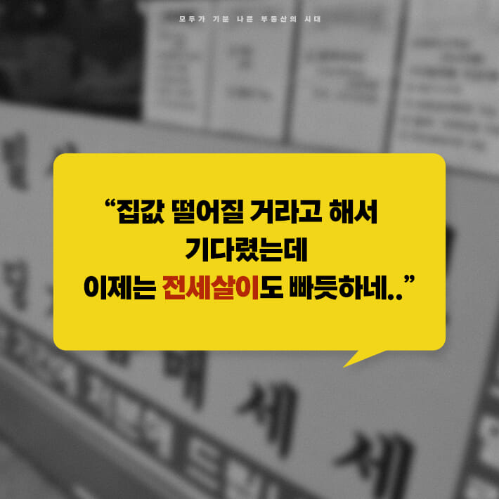 카드뉴스3